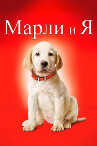 Мapли и я